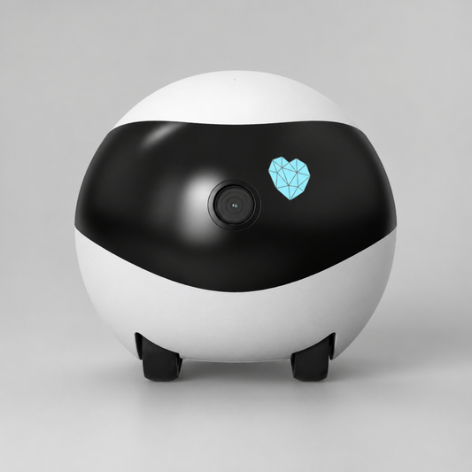 RoboCam Pro: Wireless Surveillance Camera